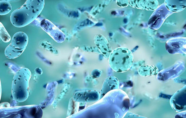 Zdravý mikrobióm: Skryté univerzum baktérií ľudského tela ako kľúč k zdraviu
